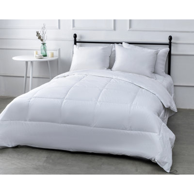 Season Down Alternative Comforter Darby King Comforter All Season thickness